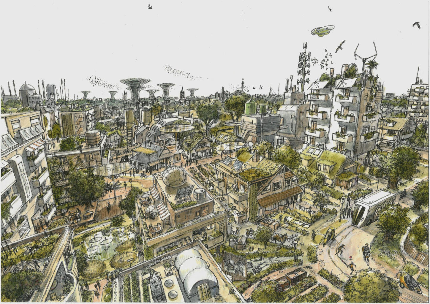 Sustainable Cities by James McKay